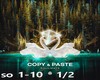 copy & paste  1/2