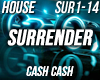 House - Surrender