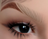 Eyebrowns 2T Blonde🙅