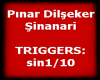 Pinar Dilseker  Sinanari
