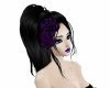 purple hair roses