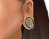 l Cheetah Ear Plugs.