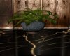 Penthouse Ballroom Fern