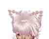 amankaya ears