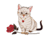 LC Cat Rose Stiker