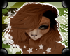 Kodi - HairV3