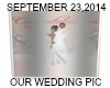 OUR WEDDING PIC ANIMATED
