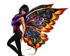 Big Butterfly Wings 41