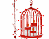 Candles Cage Romance