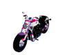 DemiBiSexual Motorcycle