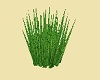 VG Grass