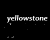 yellowstone theme