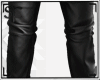 SF Leather Bk Pants .