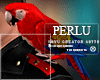 [P]Pirate Parrot |M