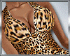 Leopard Full