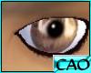 CAO Walnut Brown Eyes(M)