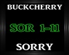 Buckcherry~Sorry