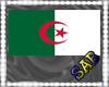 Algeria Flag bracelets