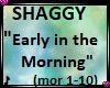 Shaggy Early in the MOR1