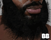 beard base 2