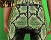 Pants Snake Shiny