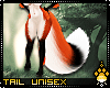 !F:Foxy: Tail 5