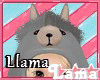 ℒ| Llama Hoody |Llama