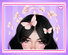 Pink Buttercup Butterfly