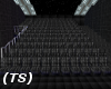 (TS) Movie Theater
