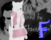 Anyskin White Cat Neko Furry