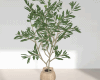 Vintage Outdoor Plant