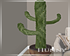 H. Cactus