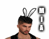 Animated Bunny Ears