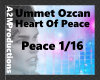 Umet Ozcan - heart