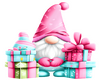 MR. PINK GNOME