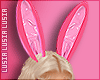 ♡ Bunny Ears