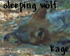 Sleeping Wolf Photo
