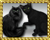 ~D3~Black Cats Enh