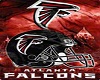 M/F Falcons Blanket