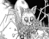 Junji Ito -cat