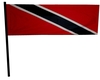 ANIMATED TRINI FLAG