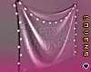 ℒ. Wall Flag +Lights