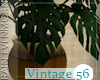 Vintage 56' Pot Plant