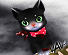 Black Sprite Cat