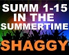 𝄞 Shaggy - Summertime