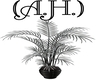 (A.H.) H.D. Plant