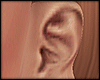 ð Aira Plug
