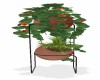Plants w/ Stand 2
