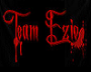 Team Ezio Fem Shirt