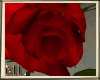 ML Red Roses Decor